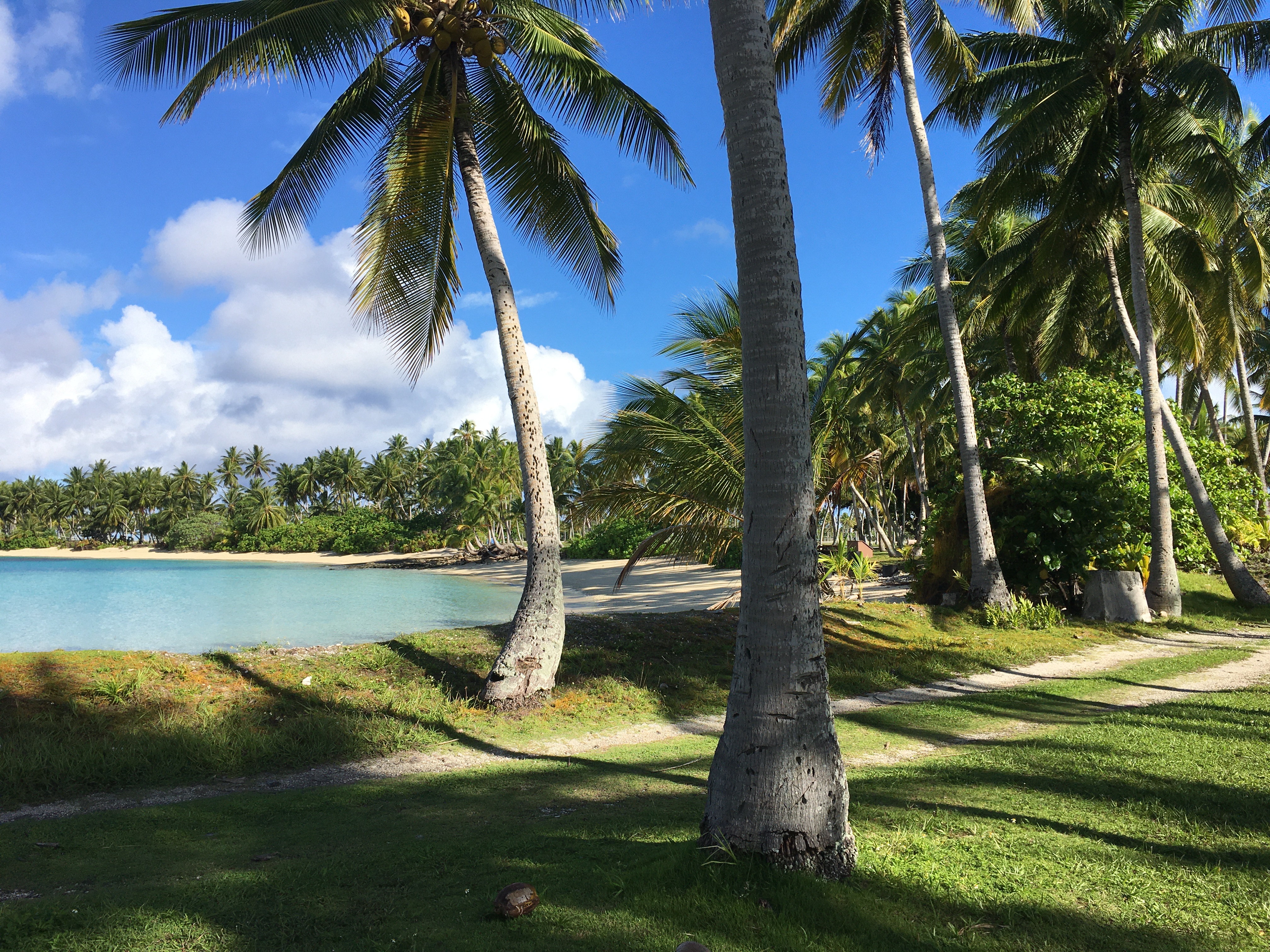 Stuck in a Tropical Hell.